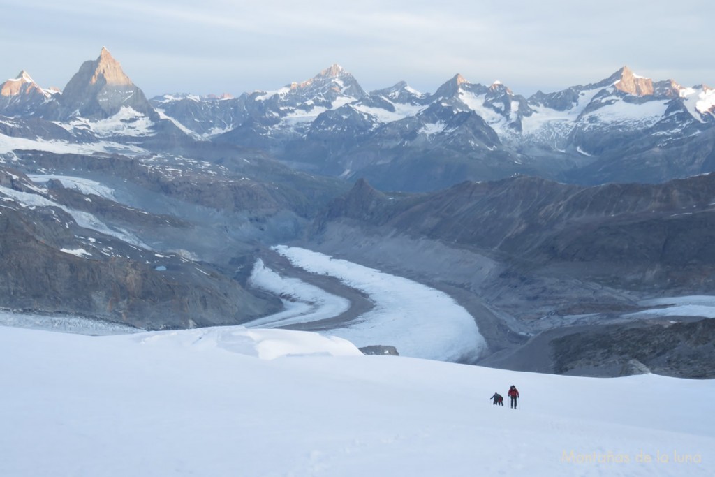 Subiendo por el Glaciar del Monte Rosa más arriba de la mitad del recorrido glaciar, detrás de izquierda a derecha tocándoles el sol: Dent d'Hèrens, Cervino, Dent Blanche, Ober Gabelhorn y Zinalrothorn